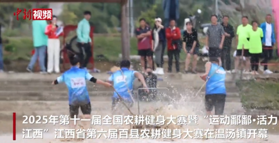 ̼2025ʮһȫrِ_ِ